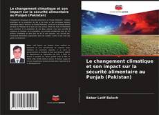 Copertina di Le changement climatique et son impact sur la sécurité alimentaire au Punjab (Pakistan)