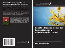 Bookcover of Canola (Brassica napus L): Sus patógenos y estrategias de control