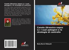 Capa do livro de Canola (Brassica napus L): I suoi patogeni e le strategie di controllo 