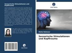 Portada del libro de Sensorische Stimulationen und Kopftrauma