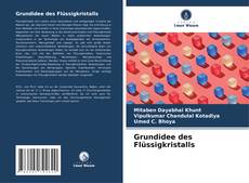 Capa do livro de Grundidee des Flüssigkristalls 