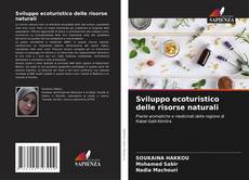 Buchcover von Sviluppo ecoturistico delle risorse naturali