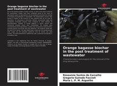 Buchcover von Orange bagasse biochar in the post treatment of wastewater