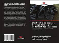 Bookcover of Charbon bio de bagasse d'orange dans le post-traitement des eaux usées