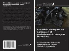Обложка Biocarbón de bagazo de naranja en el postratamiento de aguas residuales