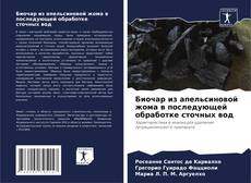 Buchcover von Биочар из апельсиновой жома в последующей обработке сточных вод