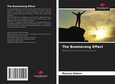 Capa do livro de The Boomerang Effect 