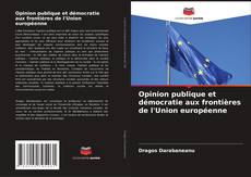 Bookcover of Opinion publique et démocratie aux frontières de l'Union européenne