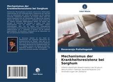 Buchcover von Mechanismus der Krankheitsresistenz bei Sorghum