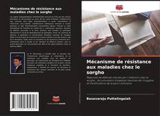 Bookcover of Mécanisme de résistance aux maladies chez le sorgho