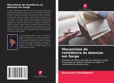 Bookcover of Mecanismo de resistência às doenças em Sorgo