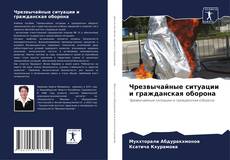 Buchcover von Чрезвычайные ситуации и гражданская оборона