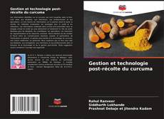 Capa do livro de Gestion et technologie post-récolte du curcuma 