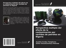 Copertina di Perspectiva múltiple del efecto de la contaminación por vertidos de petróleo en Nigeria