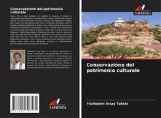 Bookcover of Conservazione del patrimonio culturale