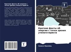 Bookcover of Краткие факты об энергии с точки зрения ученого-юриста