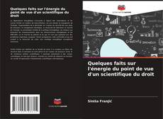 Bookcover of Quelques faits sur l'énergie du point de vue d'un scientifique du droit