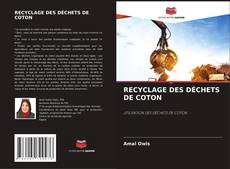 RECYCLAGE DES DÉCHETS DE COTON的封面