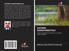 Bookcover of SISTEMI AGROFORESTALI