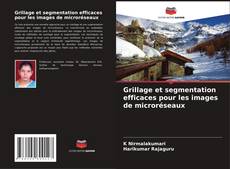 Grillage et segmentation efficaces pour les images de microréseaux kitap kapağı