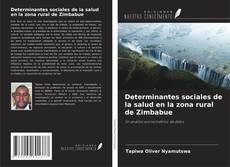 Copertina di Determinantes sociales de la salud en la zona rural de Zimbabue