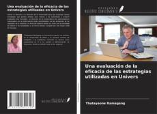 Buchcover von Una evaluación de la eficacia de las estrategias utilizadas en Univers
