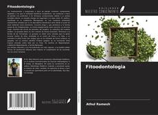 Bookcover of Fitoodontologia