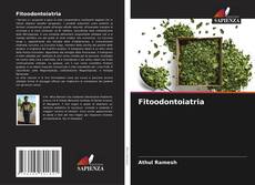 Bookcover of Fitoodontoiatria