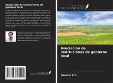 Buchcover von Asociación de instituciones de gobierno local