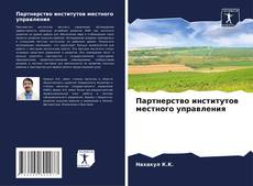 Buchcover von Партнерство институтов местного управления