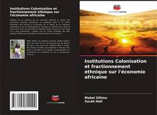 Institutions Colonisation et fractionnement ethnique sur l'économie africaine kitap kapağı