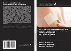 Parches transdérmicos de medicamentos antidiabéticos kitap kapağı