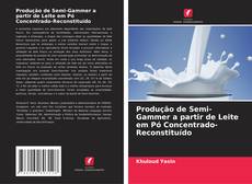 Bookcover of Produção de Semi-Gammer a partir de Leite em Pó Concentrado-Reconstituído