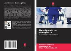 Atendimento de emergência kitap kapağı