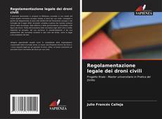 Regolamentazione legale dei droni civili kitap kapağı