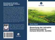 Capa do livro de Bewertung der Jatropha-Domestizierung im Solwezi-Distrikt, Sambia 
