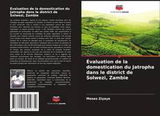 Évaluation de la domestication du Jatropha dans le district de Solwezi, Zambie kitap kapağı