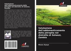 Buchcover von Valutazione dell'addomesticamento della jatropha nel distretto di Solwezi, Zambia