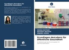 Portada del libro de Grundlagen desLabors für öffentliche Gesundheit