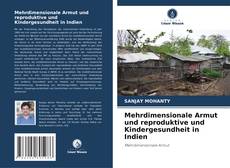 Portada del libro de Mehrdimensionale Armut und reproduktive und Kindergesundheit in Indien