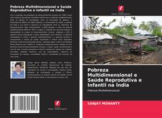 Copertina di Pobreza Multidimensional e Saúde Reprodutiva e Infantil na Índia