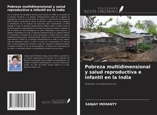 Обложка Pobreza multidimensional y salud reproductiva e infantil en la India