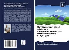 Фотоэлектрический эффект в ферроэлектрической тонкопленочной структуре的封面