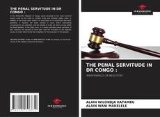Bookcover of THE PENAL SERVITUDE IN DR CONGO :