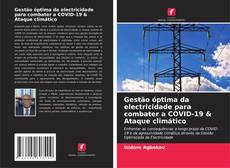 Buchcover von Gestão óptima da electricidade para combater a COVID-19 & Ataque climático