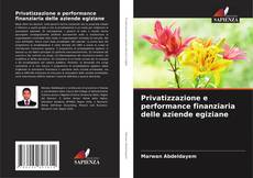 Capa do livro de Privatizzazione e performance finanziaria delle aziende egiziane 