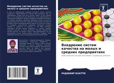 Bookcover of Внедрение систем качества на малых и средних предприятиях