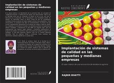 Обложка Implantación de sistemas de calidad en las pequeñas y medianas empresas
