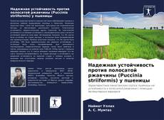 Bookcover of Надежная устойчивость против полосатой ржавчины (Puccinia striiformis) у пшеницы
