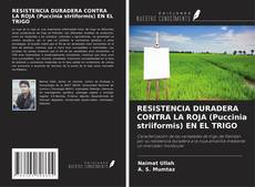 Buchcover von RESISTENCIA DURADERA CONTRA LA ROJA (Puccinia striiformis) EN EL TRIGO